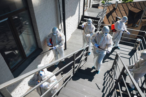 Best Crawl Space Mold Remediation  in Newton, AL