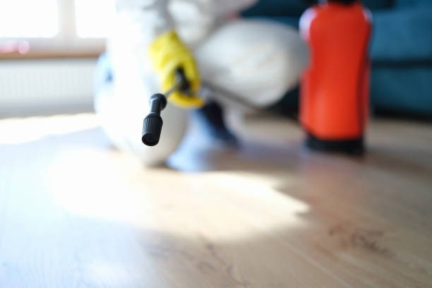 Best Dehumidification Services  in Newton, AL